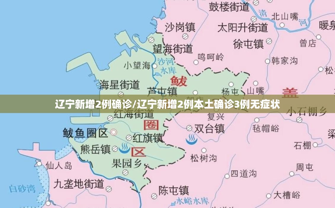 辽宁新增2例确诊/辽宁新增2例本土确诊3例无症状