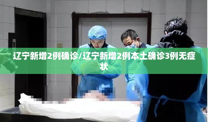 辽宁新增2例确诊/辽宁新增2例本土确诊3例无症状