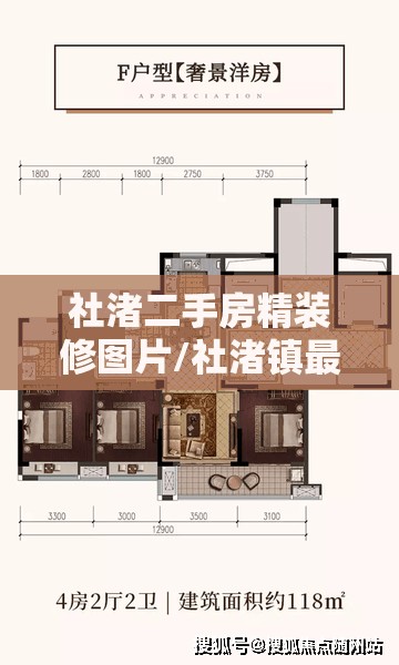 社渚二手房精装修图片/社渚镇最新规划