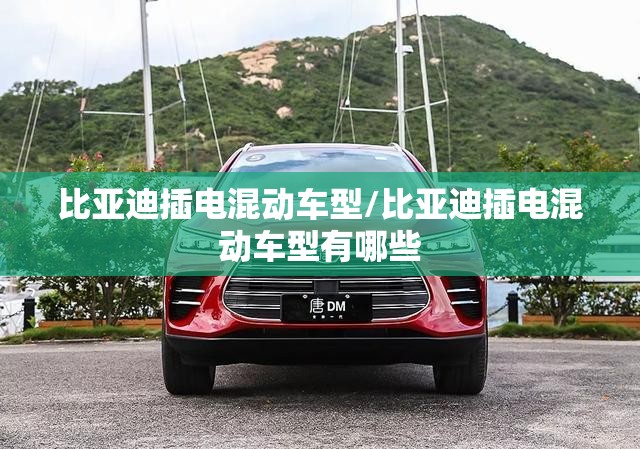 比亚迪插电混动车型/比亚迪插电混动车型有哪些