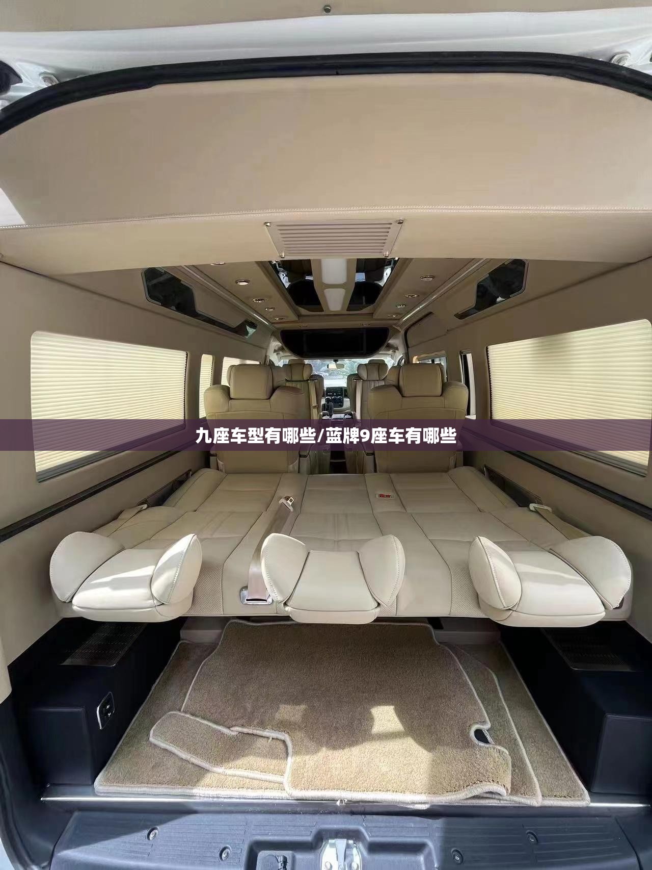 九座车型有哪些/蓝牌9座车有哪些