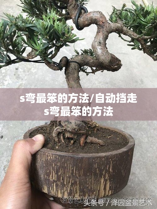 s弯最笨的方法/自动挡走s弯最笨的方法