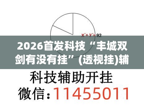 2026首发科技“丰城双剑有没有挂	”(透视挂)辅助下载教程