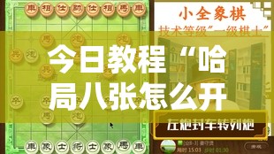 今日教程“哈局八张怎么开挂”2026开挂教程步骤