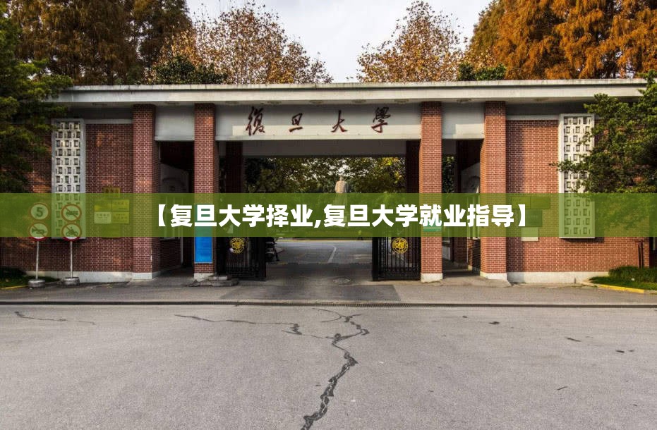 【复旦大学择业,复旦大学就业指导】