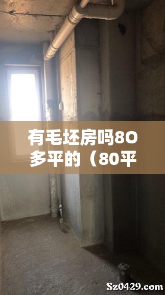有毛坯房吗8O多平的（80平方米毛坯房简单装修）