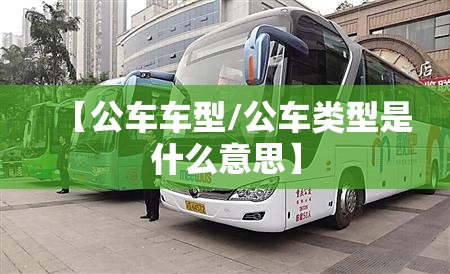 【公车车型/公车类型是什么意思】 【公车车型/公车类型是什么意思】