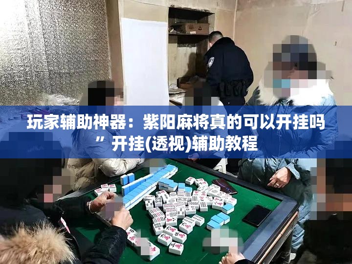 玩家辅助神器：紫阳麻将真的可以开挂吗”开挂(透视)辅助教程