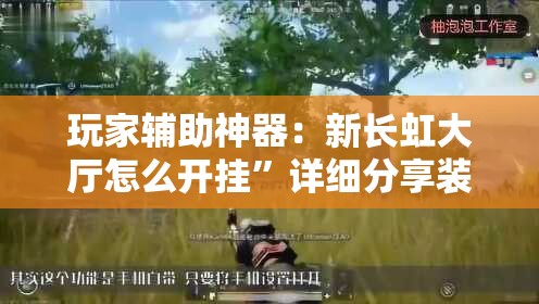 玩家辅助神器：新长虹大厅怎么开挂”详细分享装挂步骤
