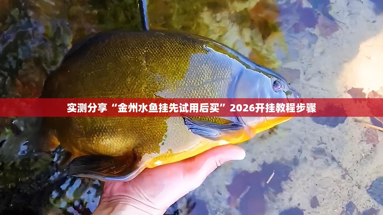 实测分享“金州水鱼挂先试用后买	”2026开挂教程步骤