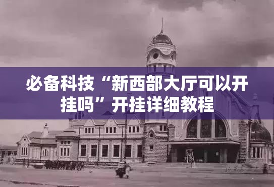 必备科技“新西部大厅可以开挂吗”开挂详细教程