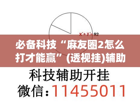 必备科技“麻友圈2怎么打才能赢”(透视挂)辅助下载教程