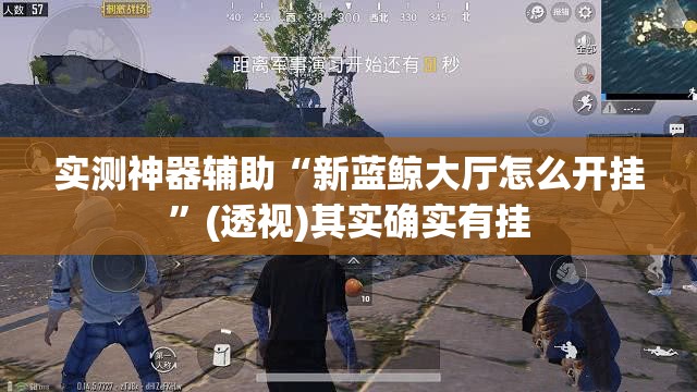 实测神器辅助“新蓝鲸大厅怎么开挂”(透视)其实确实有挂