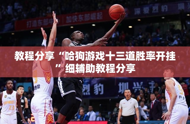 教程分享“哈狗游戏十三道胜率开挂”细辅助教程分享