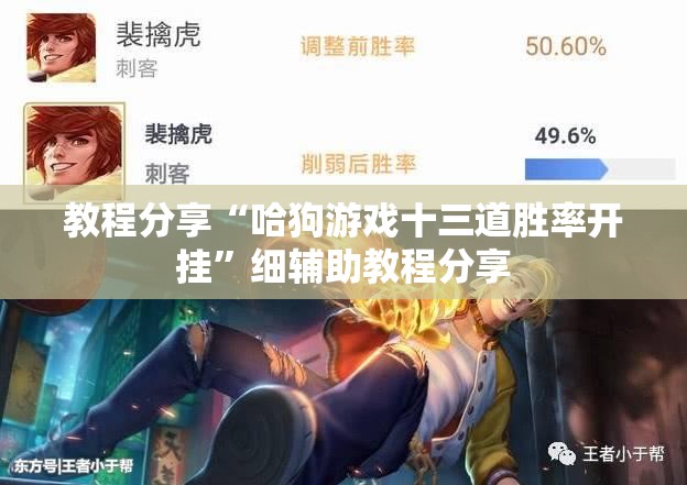 教程分享“哈狗游戏十三道胜率开挂”细辅助教程分享