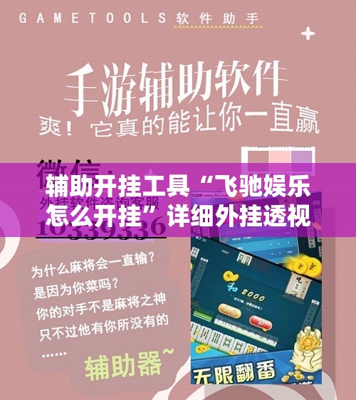 辅助开挂工具“飞驰娱乐怎么开挂”详细外挂透视辅助软件教程