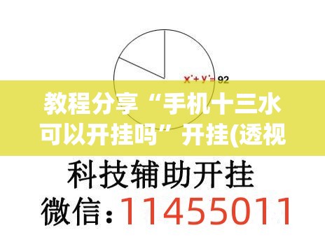 教程分享“手机十三水可以开挂吗	”开挂(透视)辅助教程