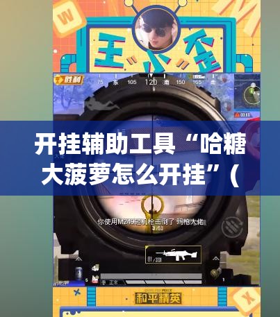 开挂辅助工具“哈糖大菠萝怎么开挂”(免费)开挂辅助教学(最新辅助开挂教程)