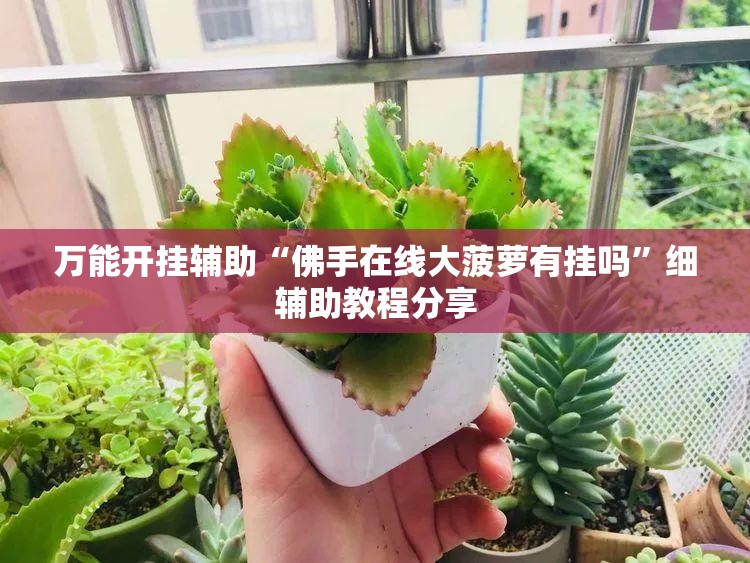 万能开挂辅助“佛手在线大菠萝有挂吗”细辅助教程分享