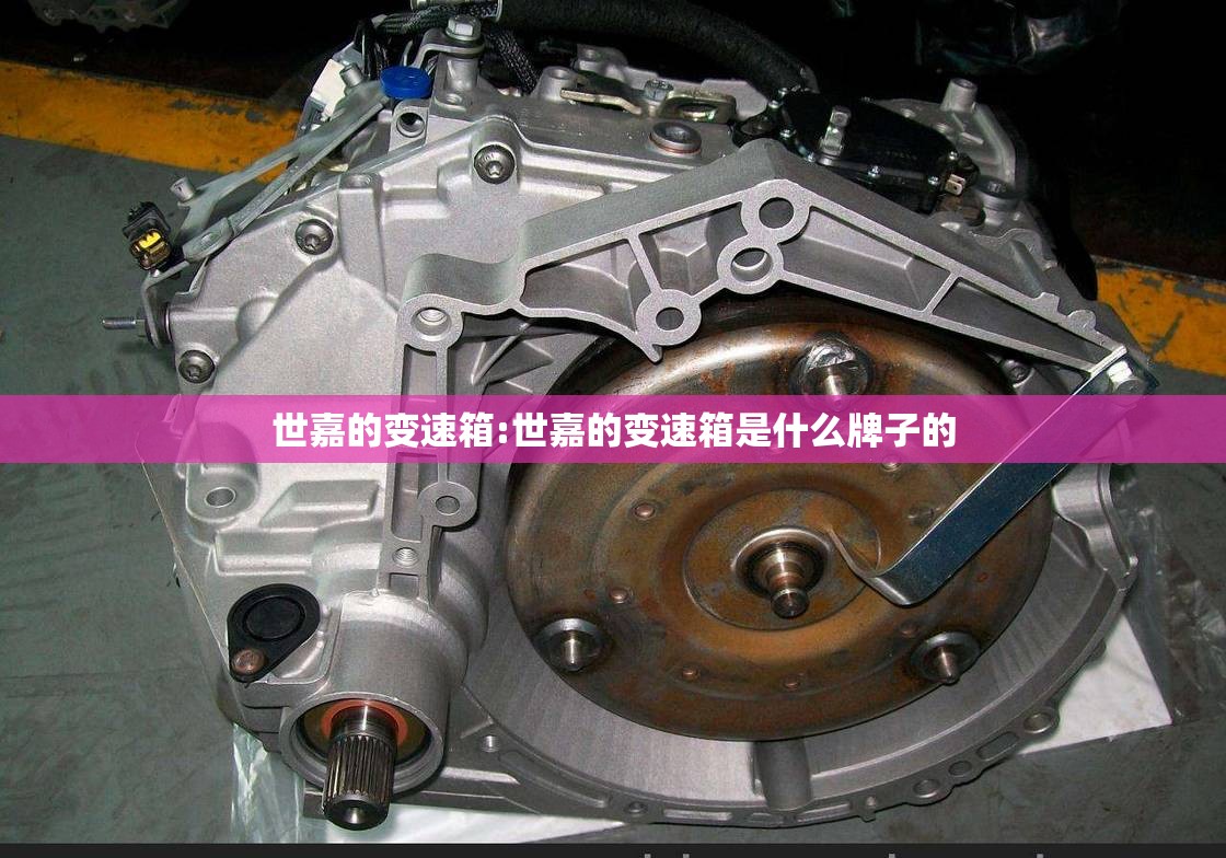 世嘉的变速箱:世嘉的变速箱是什么牌子的 世嘉的变速箱:世嘉的变速箱是什么牌子的