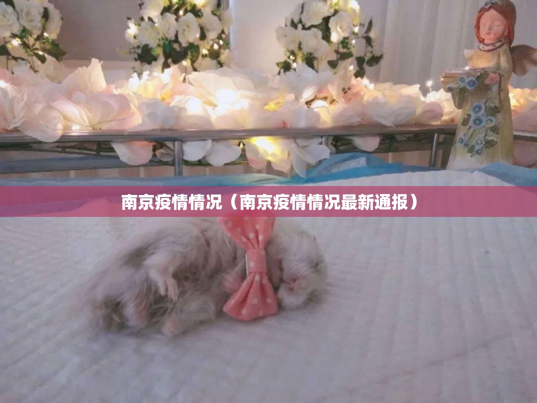 南京疫情情况（南京疫情情况最新通报）