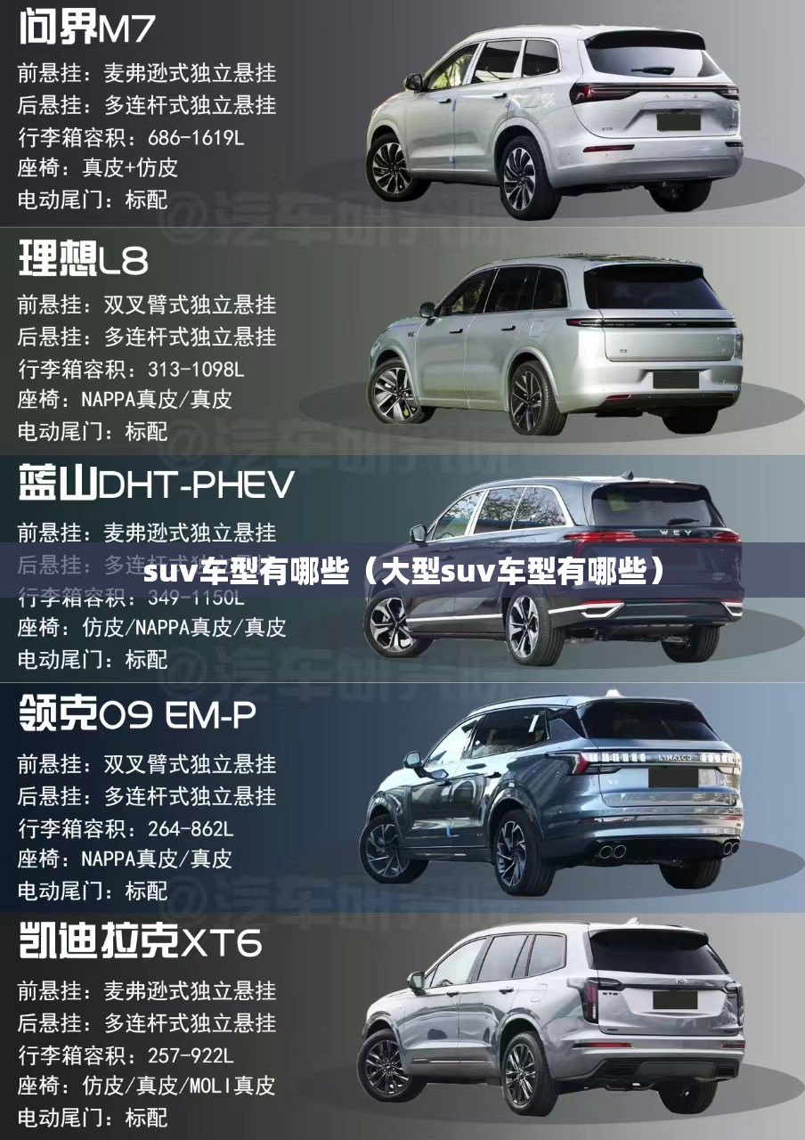 suv车型有哪些（大型suv车型有哪些）