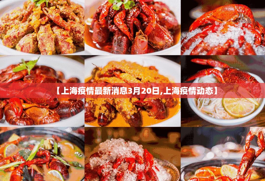 【上海疫情最新消息3月20日,上海疫情动态】