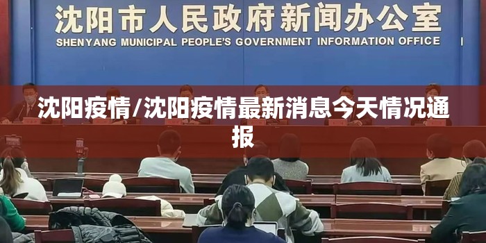 沈阳疫情/沈阳疫情最新消息今天情况通报
