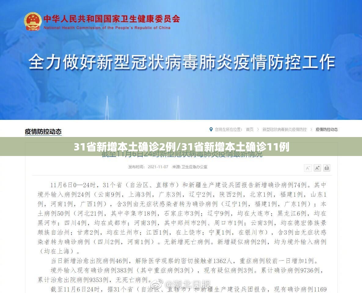31省新增本土确诊2例/31省新增本土确诊11例