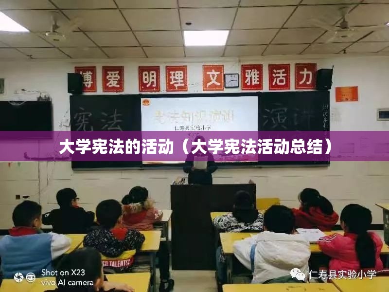 大学宪法的活动（大学宪法活动总结）
