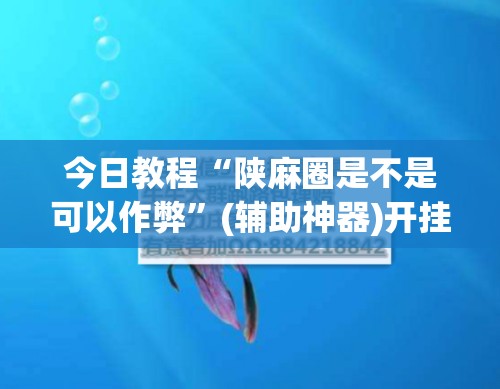 今日教程“陕麻圈是不是可以作弊”(辅助神器)开挂详细教程