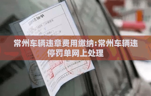 常州车辆违章费用缴纳:常州车辆违停罚单网上处理