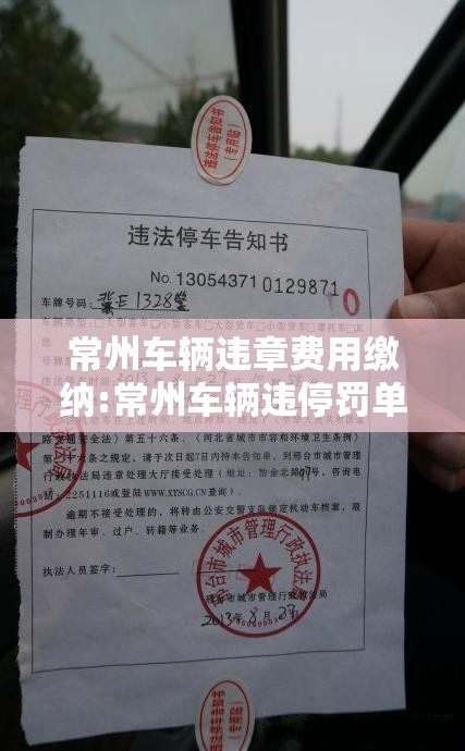 常州车辆违章费用缴纳:常州车辆违停罚单网上处理
