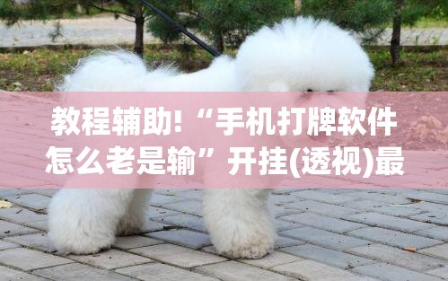 教程辅助!“手机打牌软件怎么老是输”开挂(透视)最新辅助详细