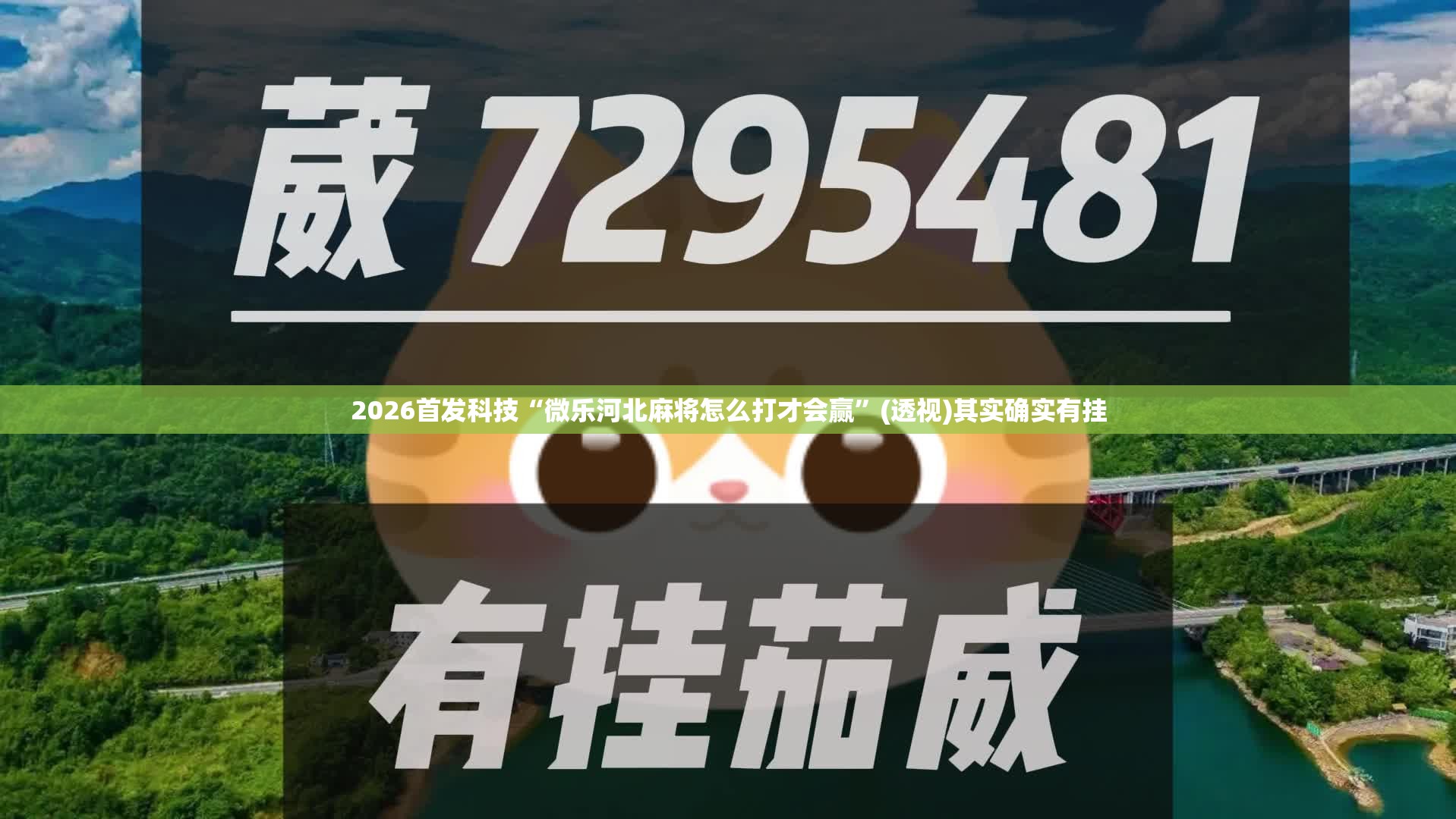 2026首发科技“微乐河北麻将怎么打才会赢”(透视)其实确实有挂
