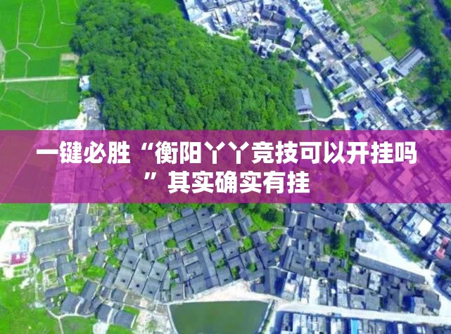 一键必胜“衡阳丫丫竞技可以开挂吗”其实确实有挂
