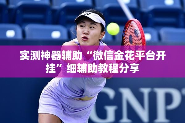 实测神器辅助“微信金花平台开挂”细辅助教程分享