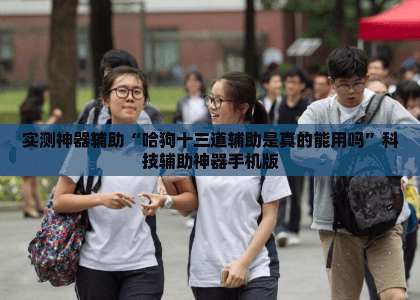 实测神器辅助“哈狗十三道辅助是真的能用吗”科技辅助神器手机版