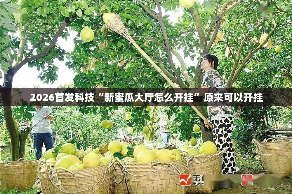 2026首发科技“新蜜瓜大厅怎么开挂”原来可以开挂