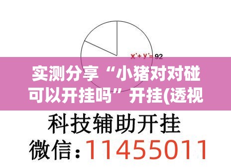 实测分享“小猪对对碰可以开挂吗”开挂(透视)辅助神器