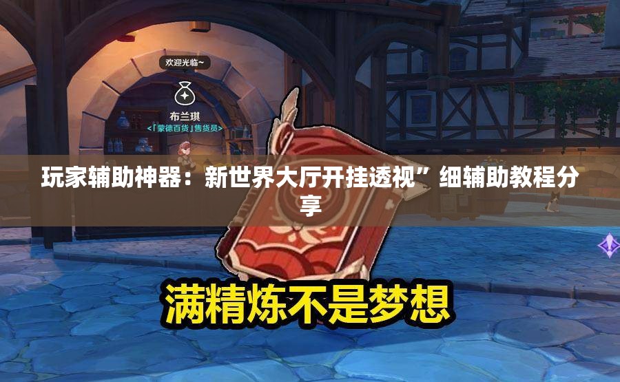 玩家辅助神器：新世界大厅开挂透视”细辅助教程分享