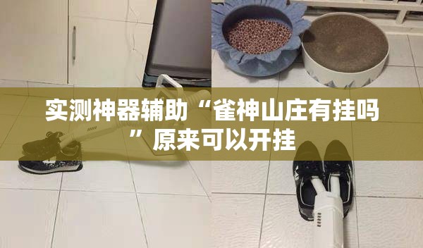 实测神器辅助“雀神山庄有挂吗	”原来可以开挂
