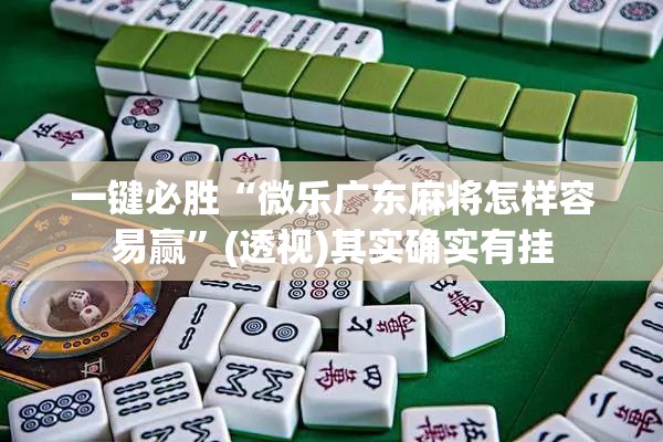 一键必胜“微乐广东麻将怎样容易赢”(透视)其实确实有挂