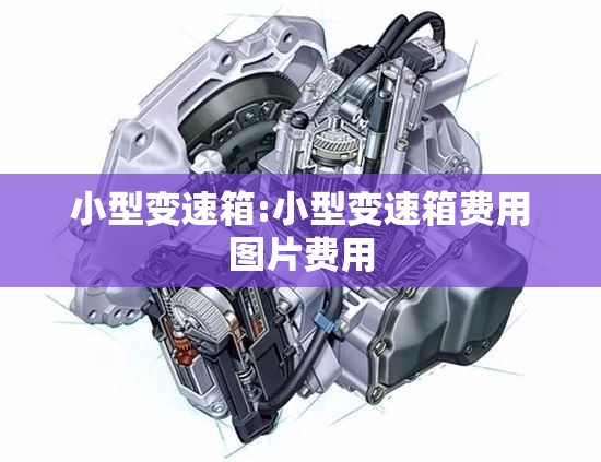 小型变速箱:小型变速箱费用图片费用
