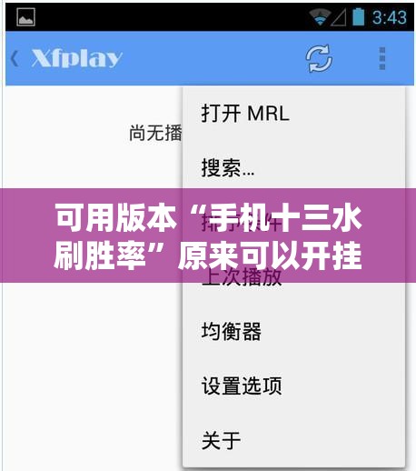 可用版本“手机十三水刷胜率”原来可以开挂