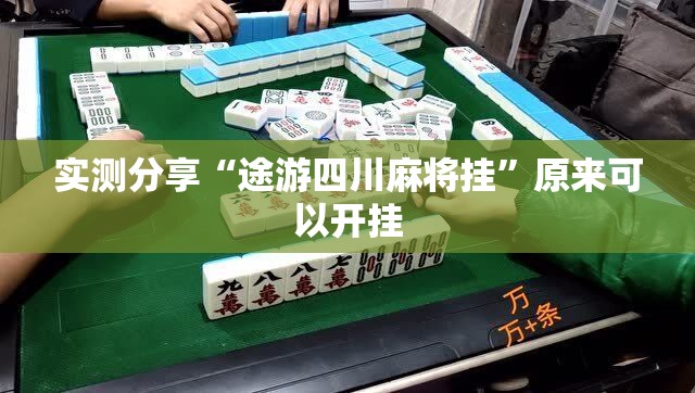 实测分享“途游四川麻将挂”原来可以开挂