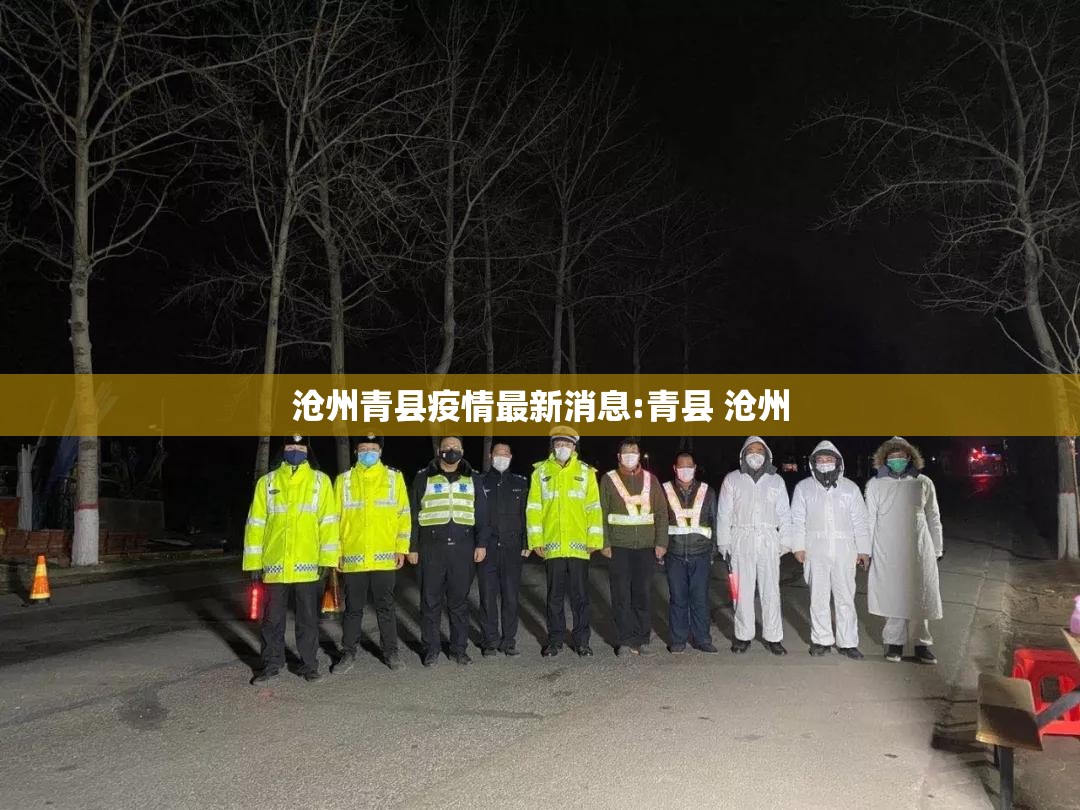 沧州青县疫情最新消息:青县 沧州