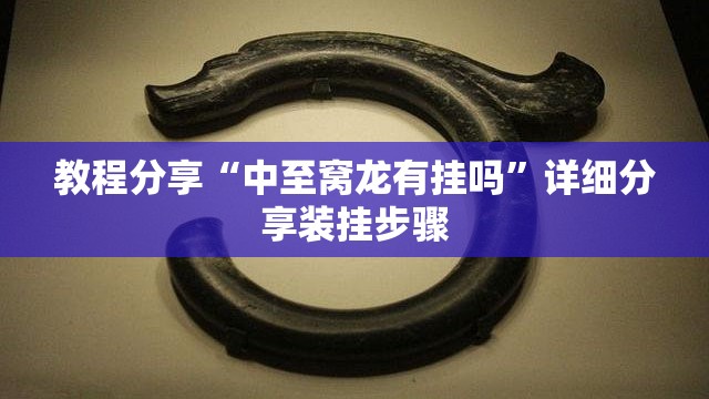 教程分享“中至窝龙有挂吗”详细分享装挂步骤