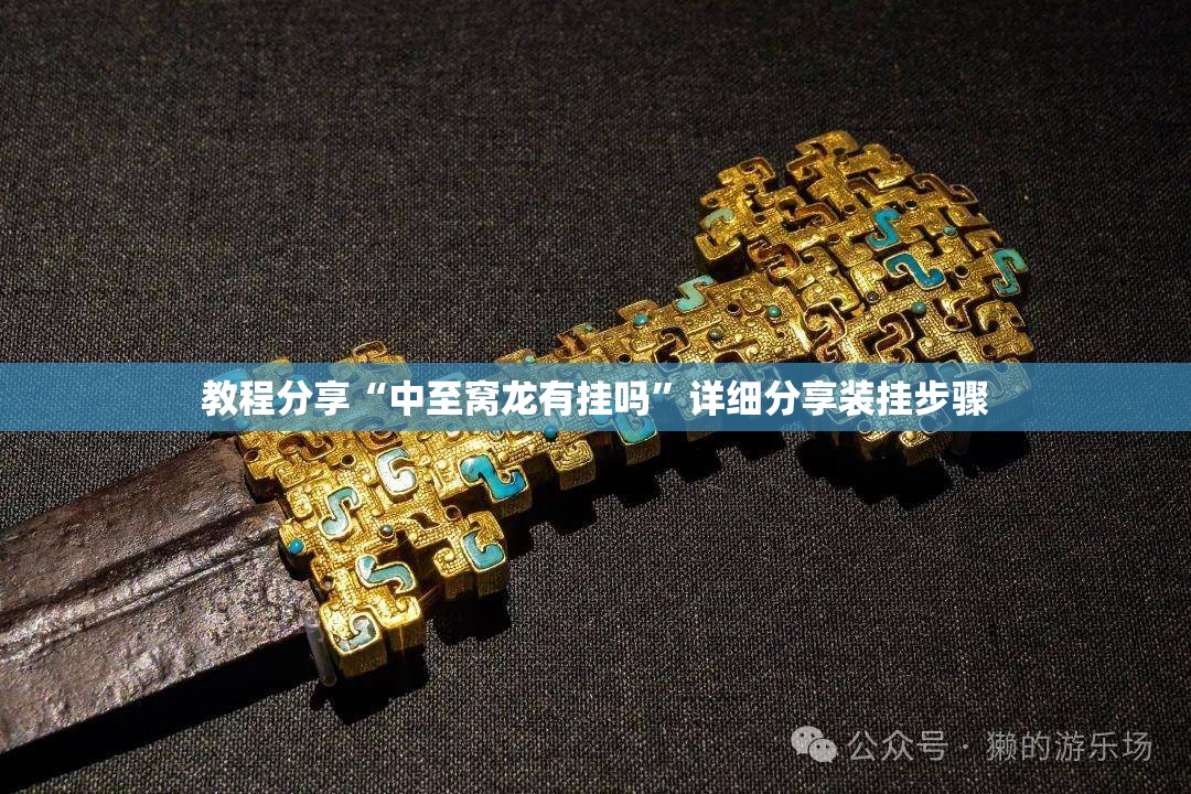 教程分享“中至窝龙有挂吗”详细分享装挂步骤