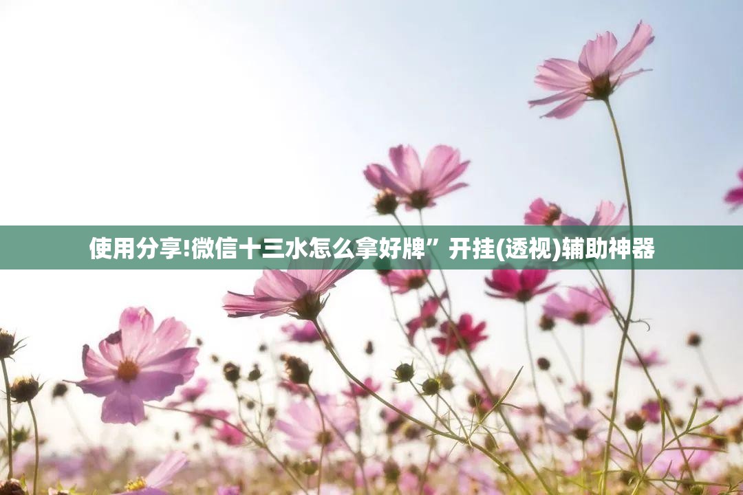使用分享!微信十三水怎么拿好牌	”开挂(透视)辅助神器